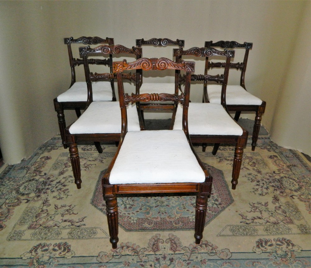 set of 6 william iv rosewood dining chairs